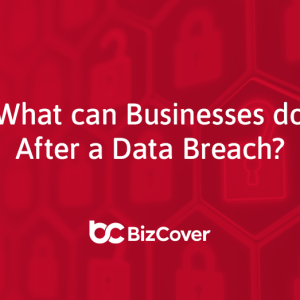 Business tips after data breach