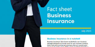 Business Insurance factheet