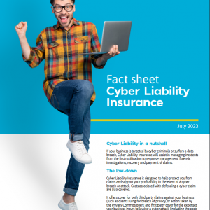 Cyber Insurance fact sheet - updated July, 2023