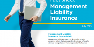 Management Liability insurance Factsheet