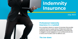 Professional Indemnity insurance factsheet