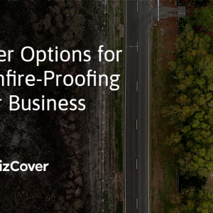 BizCover - Bushfire proof cover