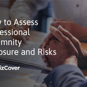Assess professional indemnity risks