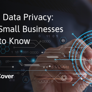 AI and Data Privacy- What Small Businesses Need to Know
