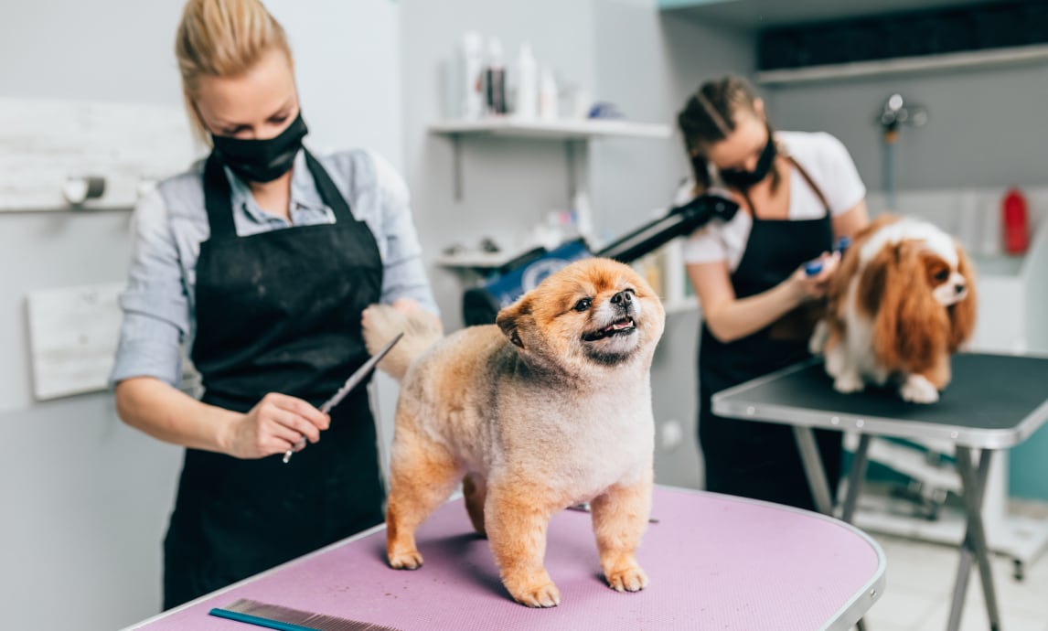 Did you know pet professionals