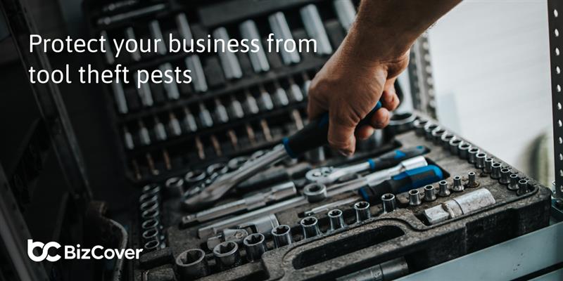 Protect Your Business From Tool Theft Pests