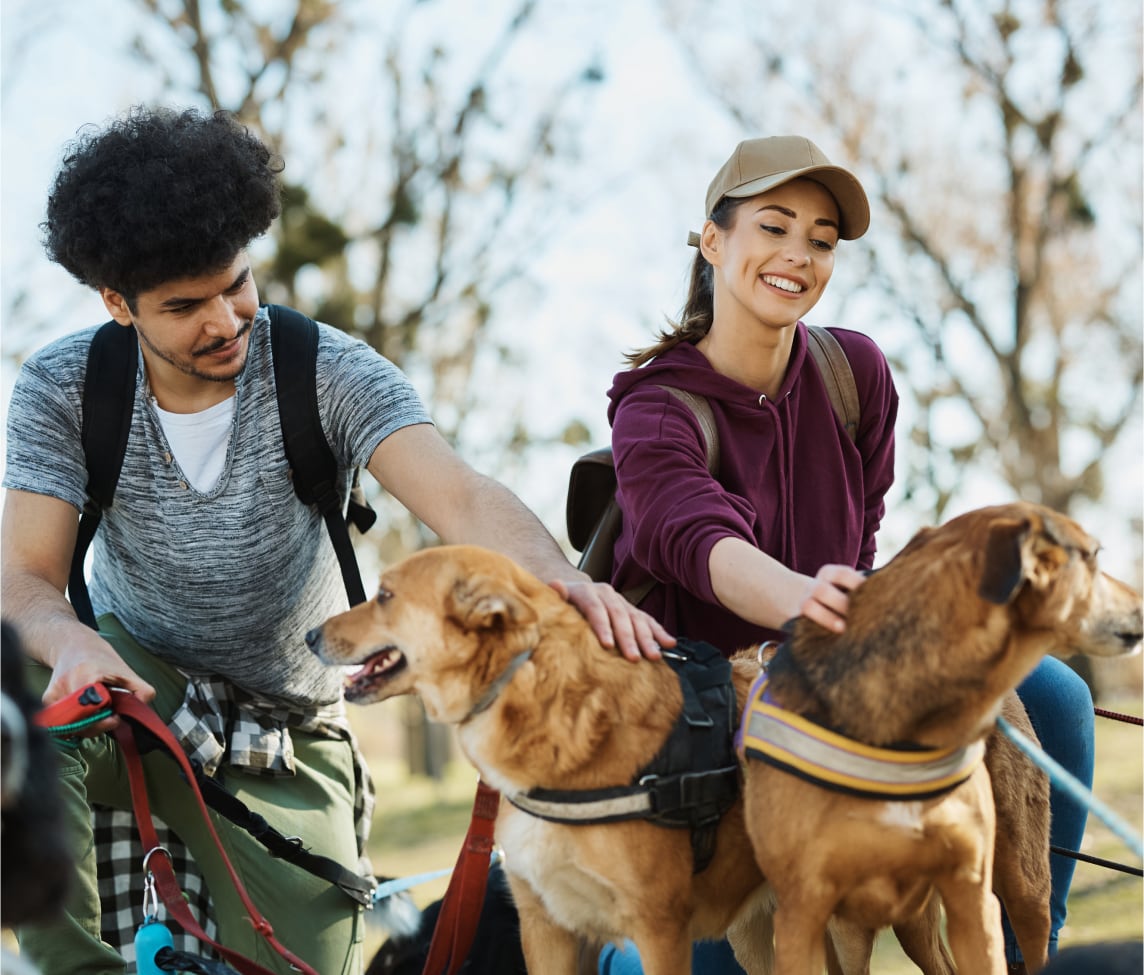 how much does insurance cost for dog groomers