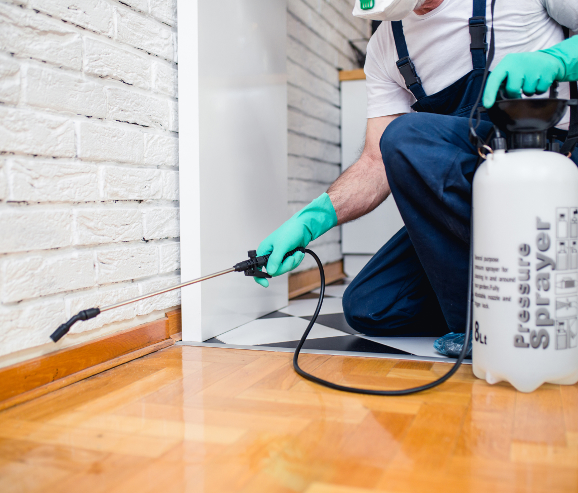 how much insurance cost for pestcontrol