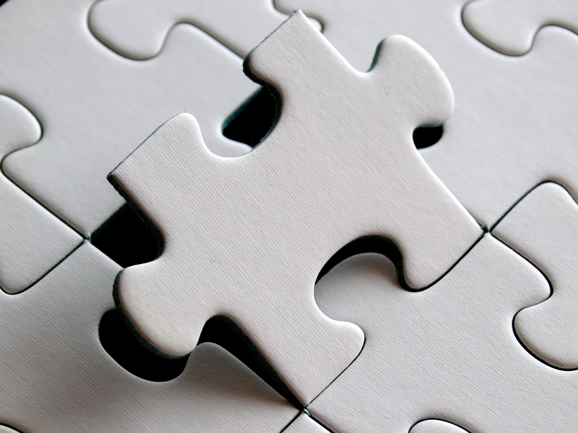 7 Common Types of Small Business Insurance