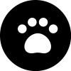 Skywalkr