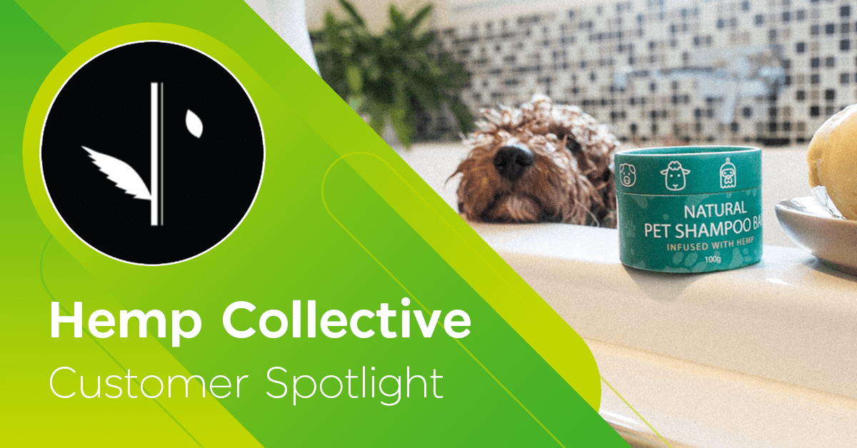 Hemp Collective – BizCover Customer Spotlight