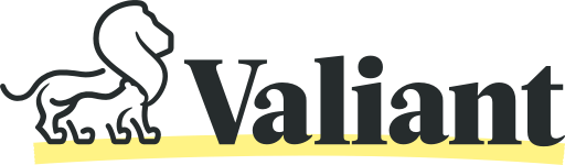 Valiant finance insurance