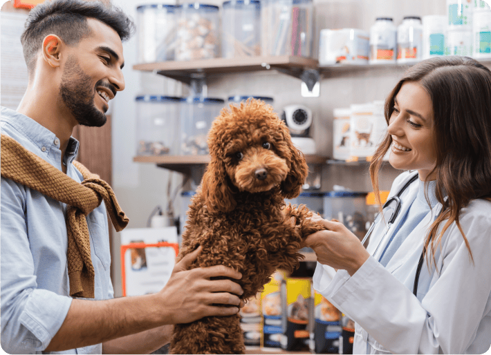 what is pet professionals insurance?